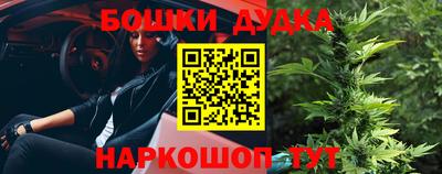 a pvp Славгород