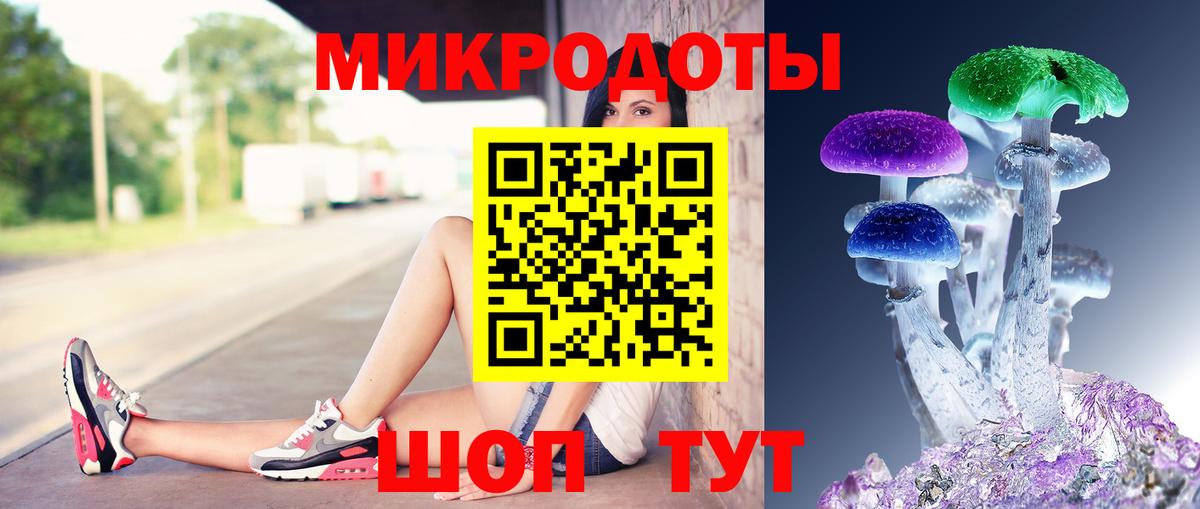 Псилоцибиновые грибы Psilocybine cubensis Саратов