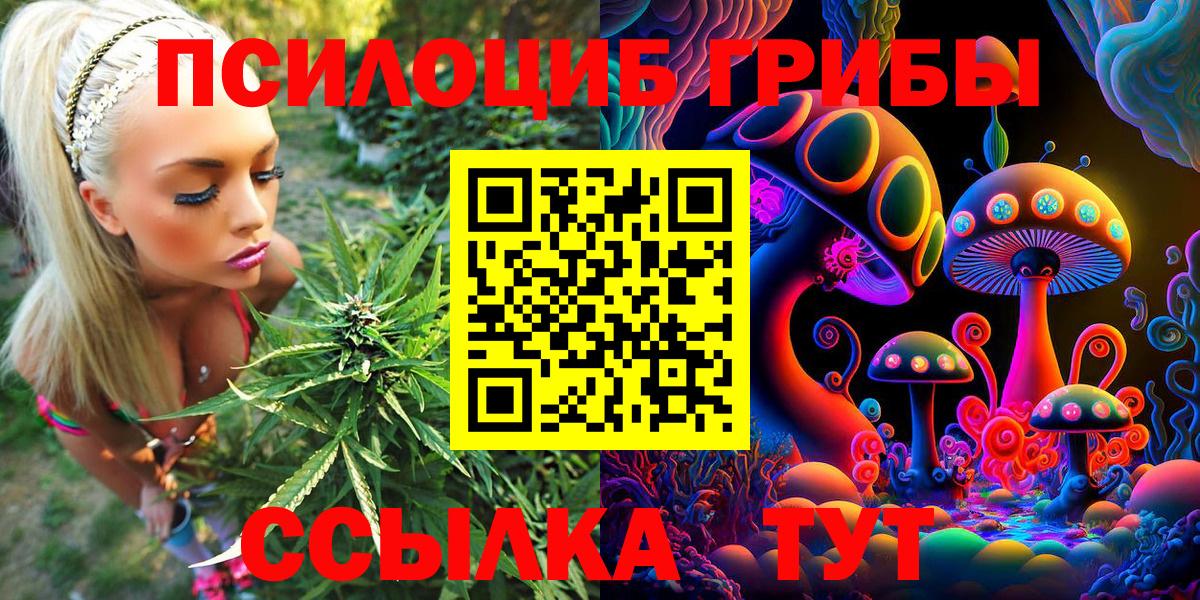 Саратов  Галлюциногенные грибы MAGIC MUSHROOMS  Вход с VPN  Галлюциногенные грибы прущие грибы 